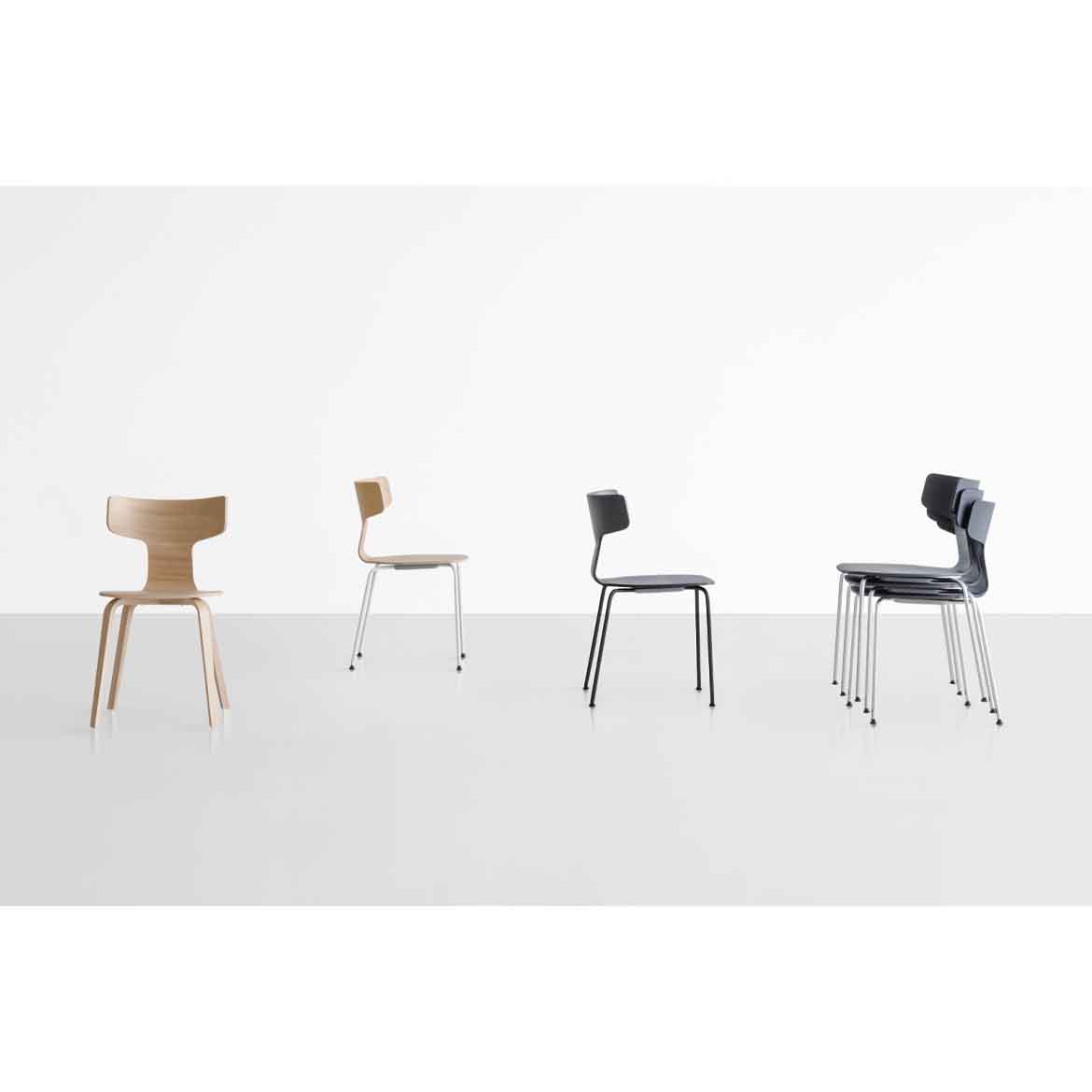 Fedra 101 chair